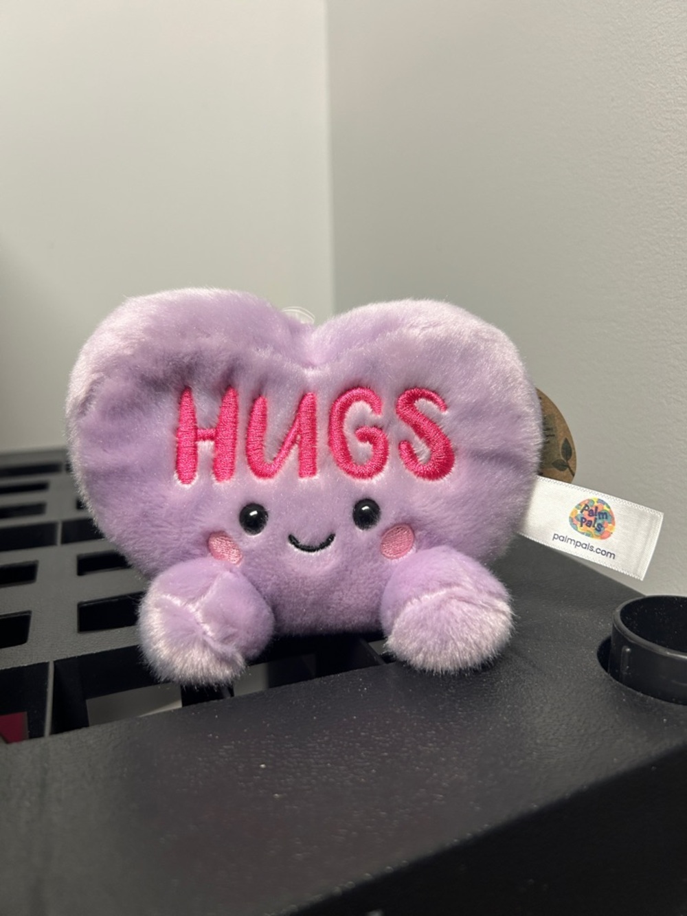Palm Pals Valentines Day Hugs NWT